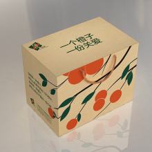 纸艺文明 从书写载体到现代生活的多维延伸